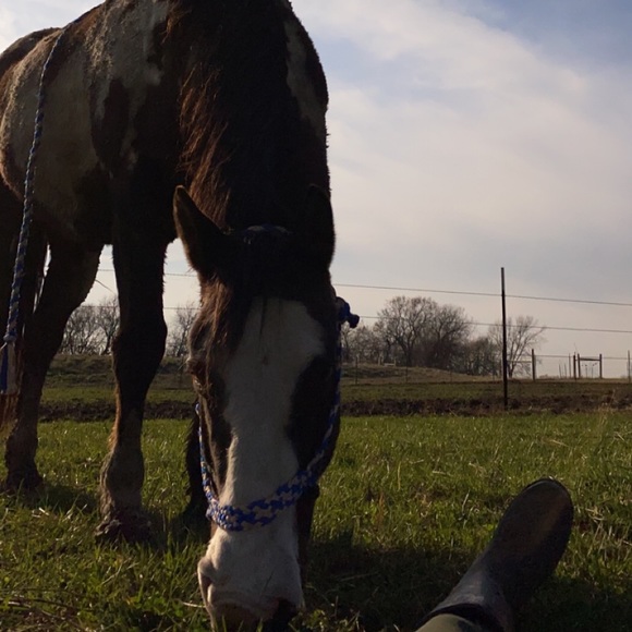 Meet your Posher, Tessa - Picture 1 of 1